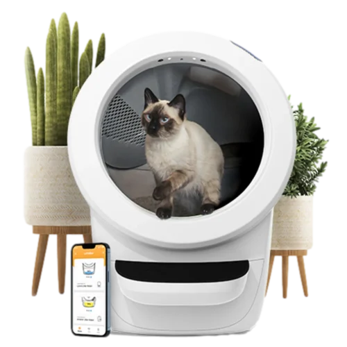 ליטר רובוט 4 לחתולים Litter Robot 4 White – שני שקי חול מתנה בכל רכישה!